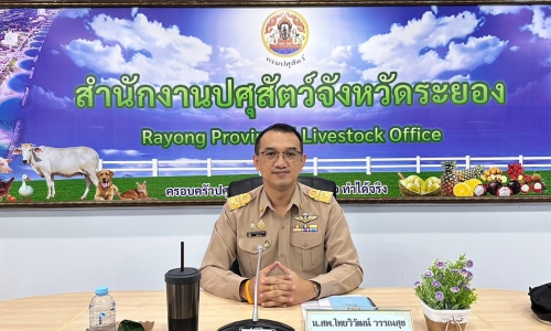 สำนักงานปศุสัตว์จังหวัดระยอง ประชุมคณะกรรมการขับเคลื่อนนโยบายกรมปศุสัตว์ (DLD Co-ordinator : DLD-C) ระดับพื้นที่ จังหวัดระยอง ครั้งที่ 11/2567