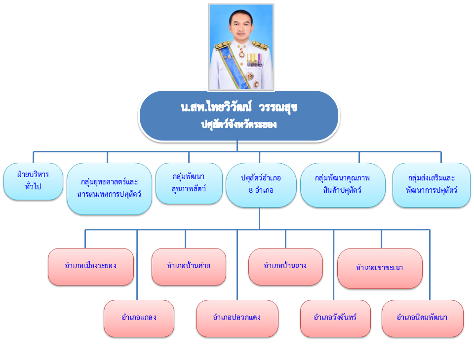 organization chart2567